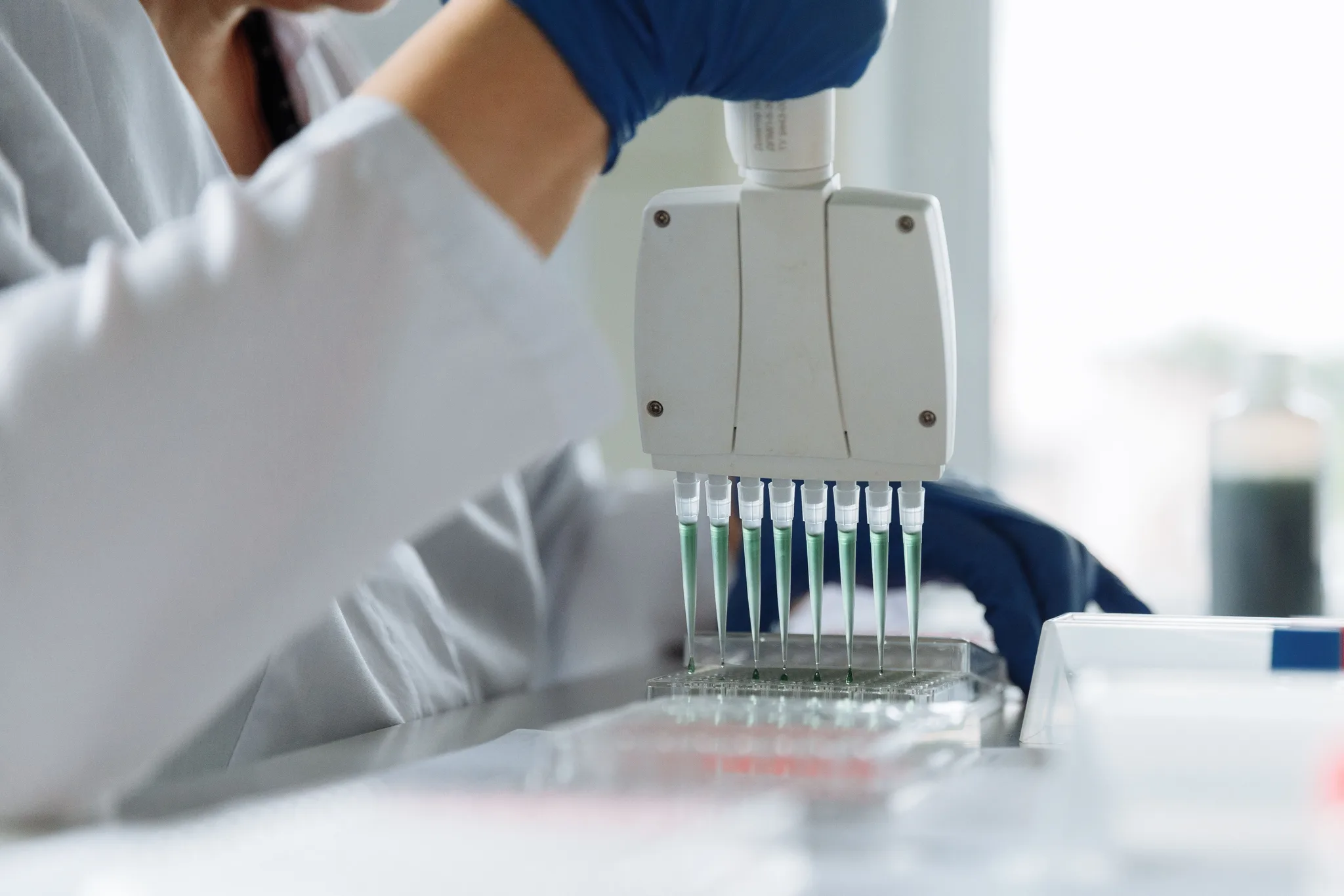 A gloved hand lowering a multichannel pipette into a plate in the laboratory