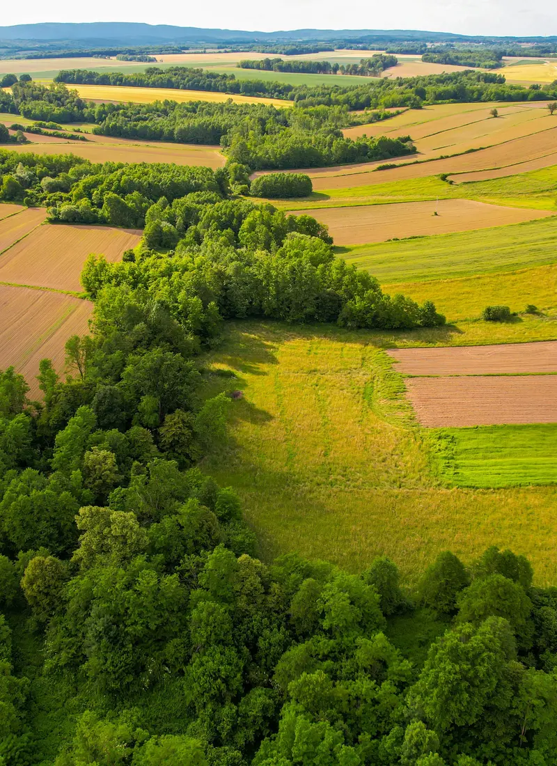 Aerial view of rolling farmland in a patchwork of fields, divided by strips of mixed woodland.